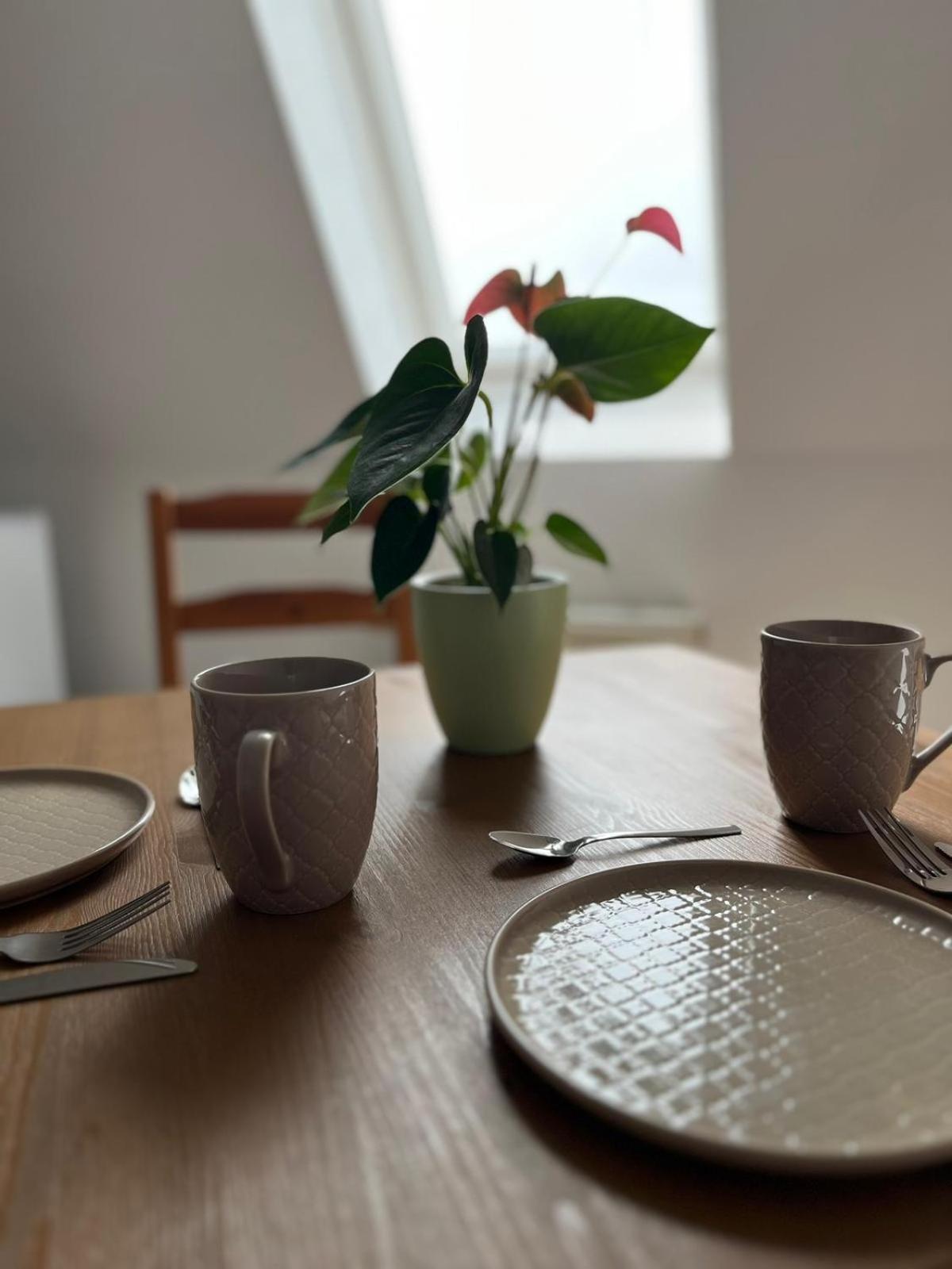 1 Raum Dachgeschosswohnung In Ruhiger Lage Limabach - Oberfrohna Exterior foto